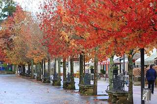 Alameda y Jardines Felipe de Castro