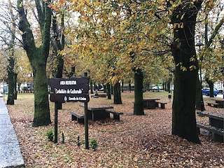 Área de Recreo Carballeira de Cacharado