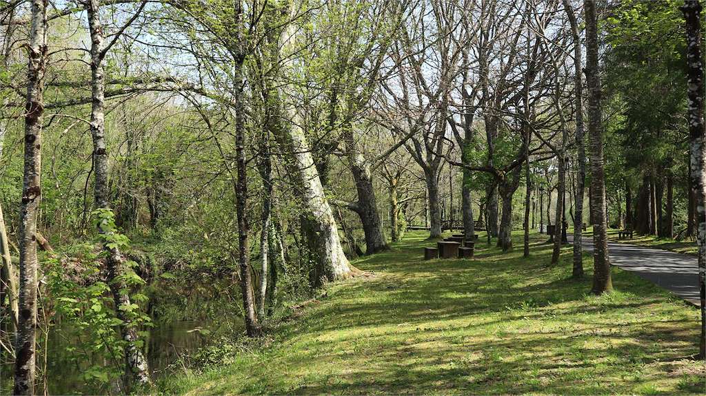 Área Recreativa A Madalena   en Vilalba