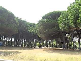 Área Recreativa de Montalvo