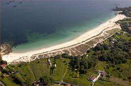 Areabrava
