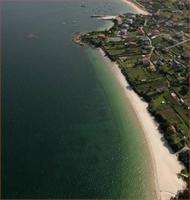 Arneles en Cangas