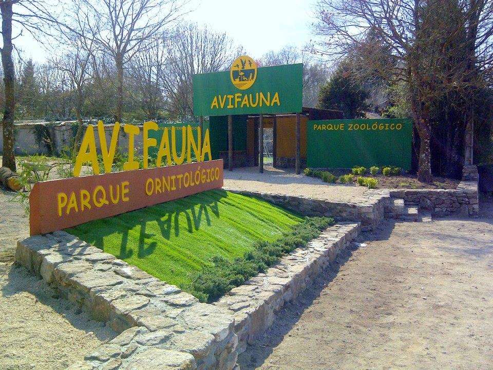 Avifauna en Outeiro de Rei