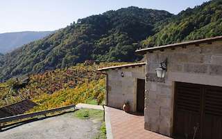 Bodega Ribada