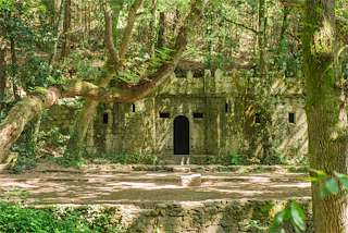 Bosque Encantado