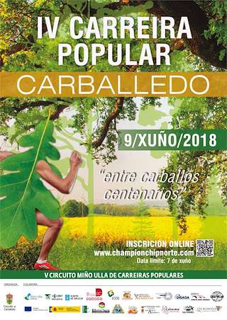 Fechas, información, programa, cartel, imágenes, mapa y ubicación de VI Carreira Popular  en  Carballedo