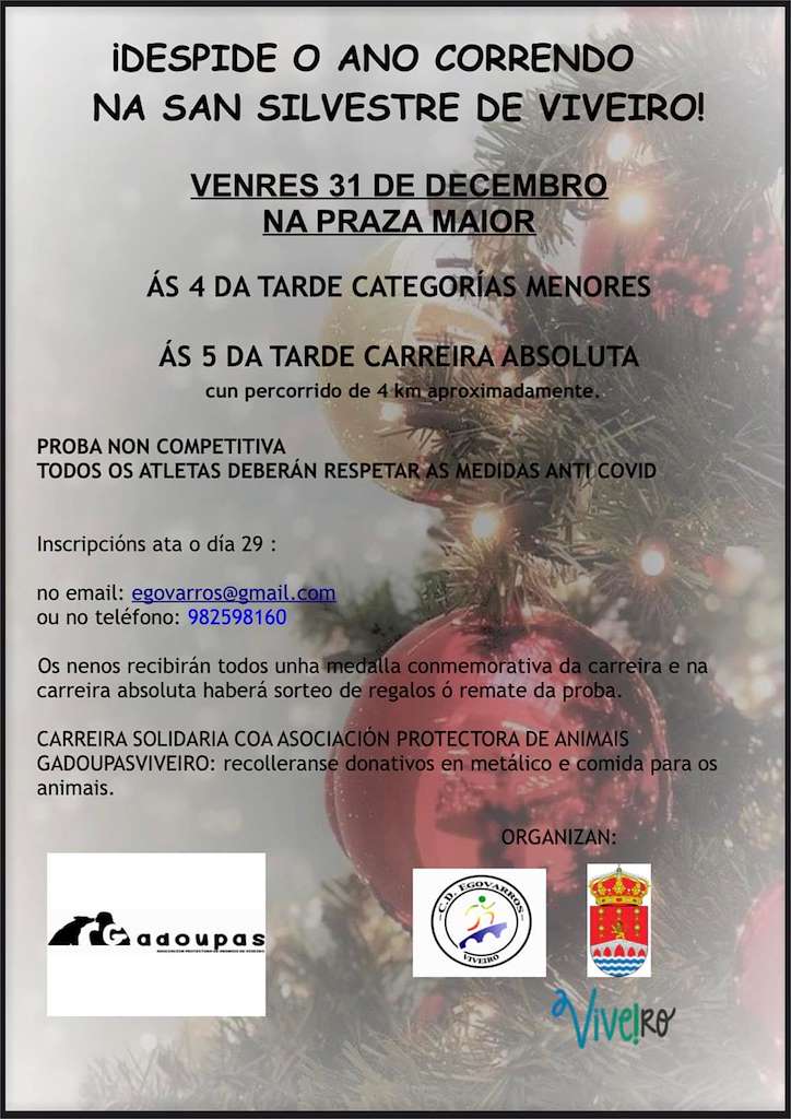 XXIV Carreira Popular de San Silvestre (2024) en Viveiro