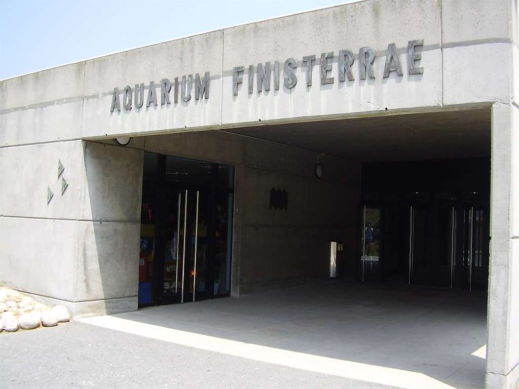 Casa de los Peces - Aquarium Finisterrae en A Coruña