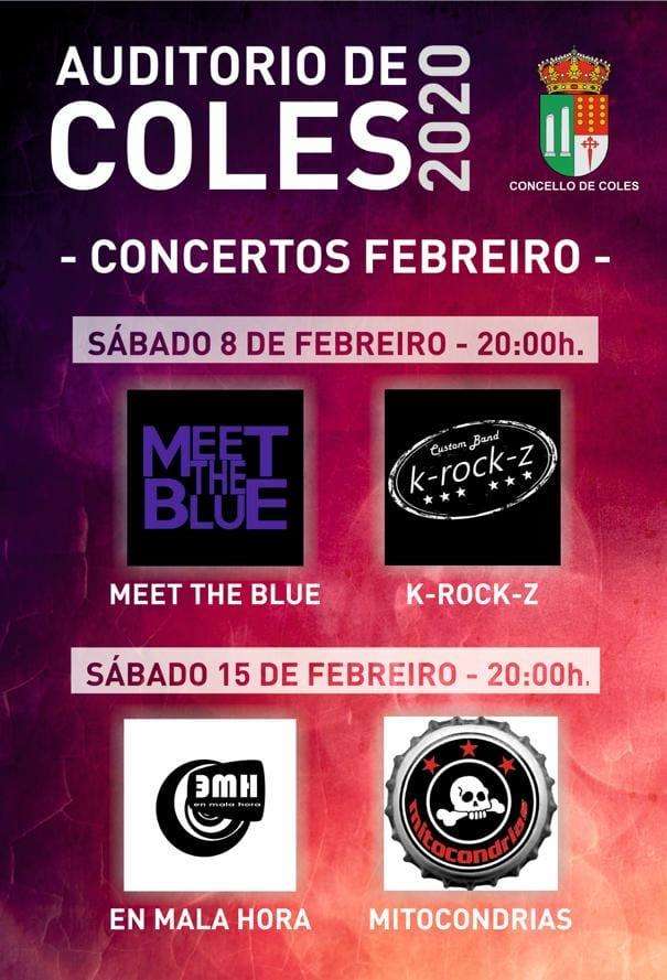 Concertos no Auditorio en Coles