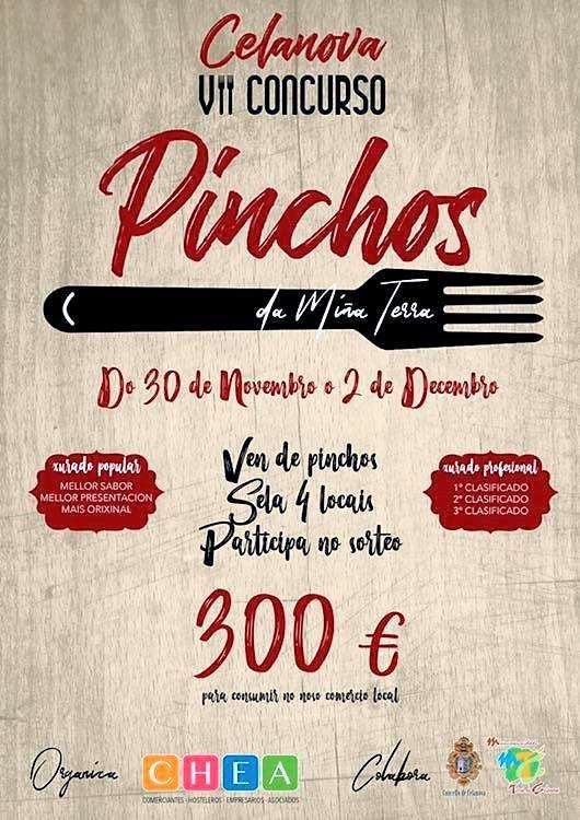XI Concurso de Pinchos da Miña Terra  en Celanova