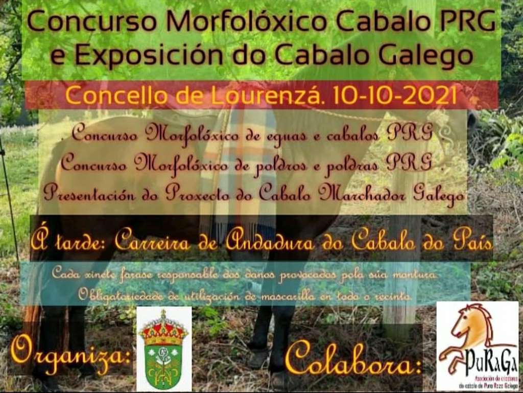 Concurso Morfolóxico Cabalo PRG e Exposición do Cabalo Galego en Lourenzá