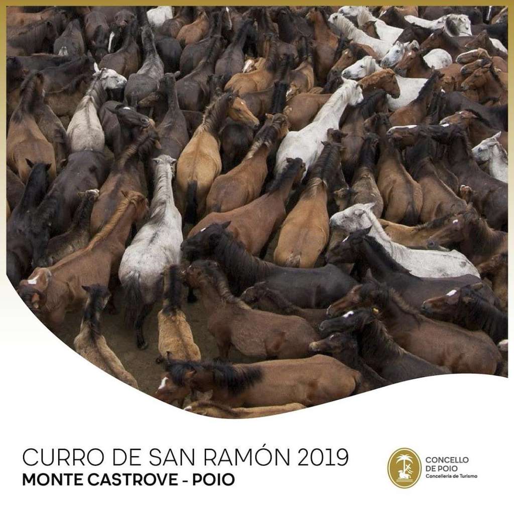 Curro de San Ramón  en Poio