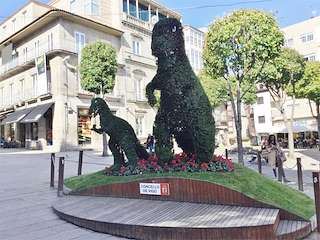 Dinoseto