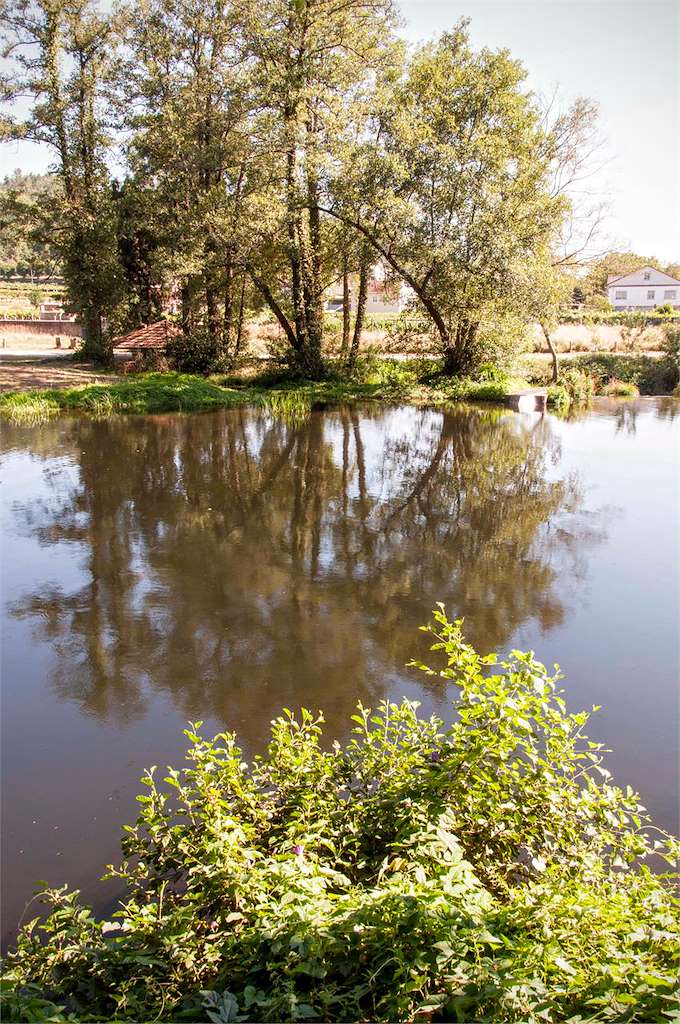 El Jardín y la Carballeira de Caldas en Caldas de Reis