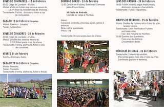 Entroido - Festa da Androlla en Viana do Bolo