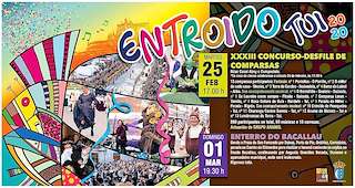Entroido en Tui