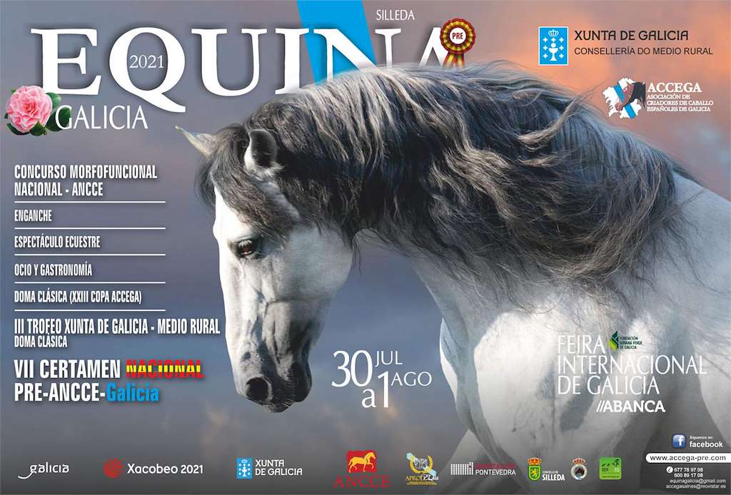 Equina en Silleda
