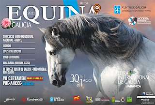 Fechas, información, programa, cartel, imágenes, mapa y ubicación de Equina  en  Silleda