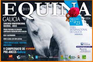 Equina en Silleda