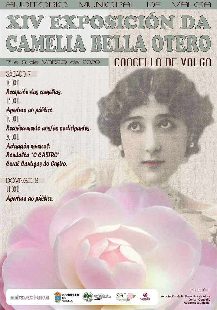 XVI Exposición da Camelia Bella Otero en Valga