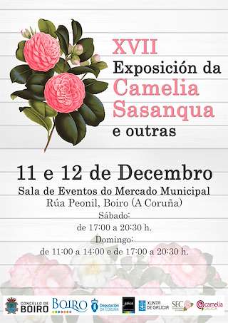 Fechas, información, programa, cartel, imágenes, mapa y ubicación de XIX Exposición da Camelia Sasanqua e Outras Especies  en  Boiro