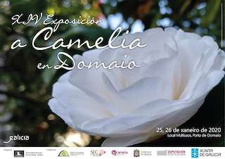 Fechas, información, programa, cartel, imágenes, mapa y ubicación de XVI Exposición de Camelias de Domaio  en  Moaña