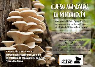 Feira de Outono de Arcos en Ponteareas