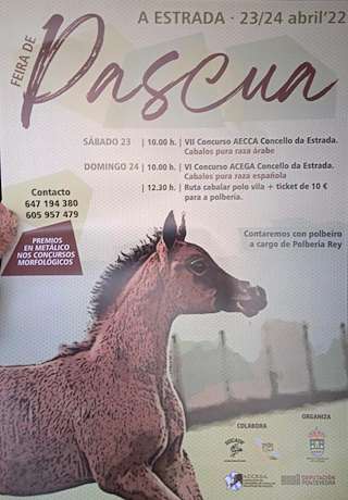 Fechas, información, programa, cartel, imágenes, mapa y ubicación de Feira Cabalar de Pascua   en  A Estrada