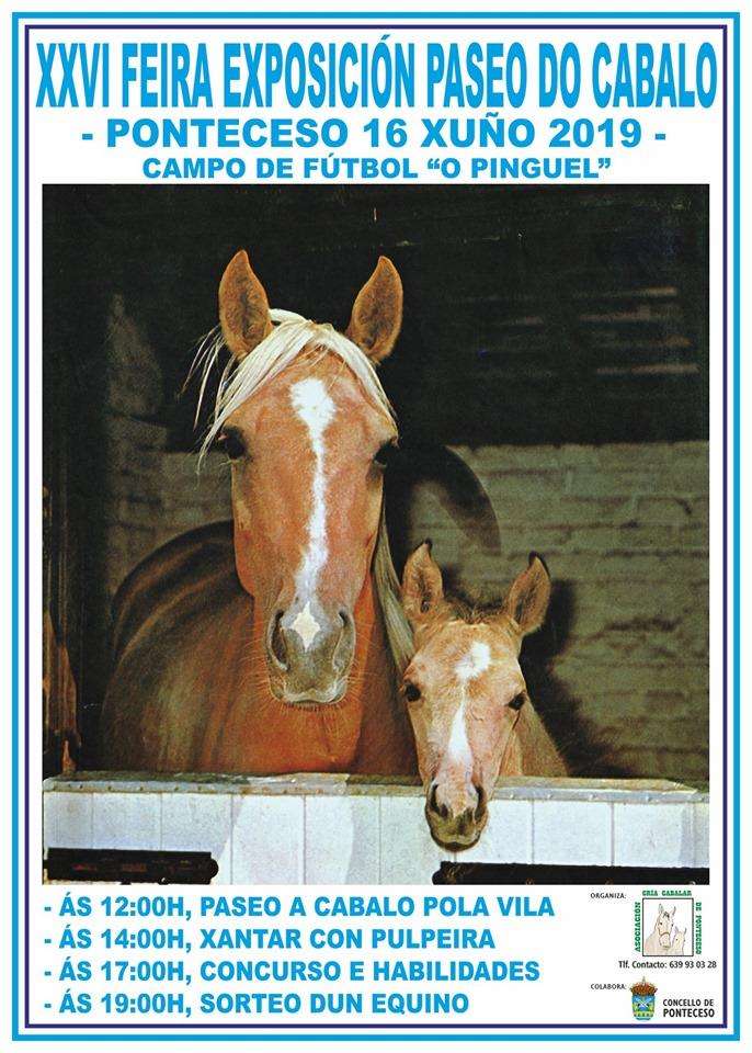 XXVIII Feira de Exposición Paseo do Cabalo en Ponteceso