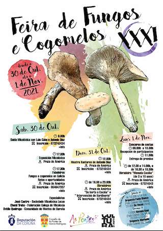 Fechas, información, programa, cartel, imágenes, mapa y ubicación de XXXIII Feira de Fungos e Cogomelos  en  As Pontes de García Rodríguez
