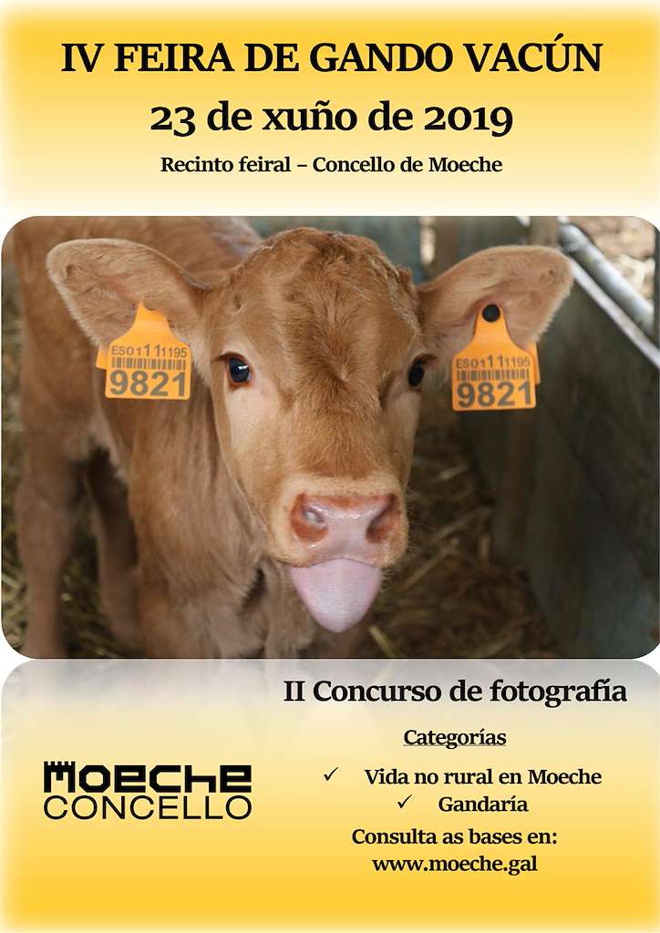 VI Feira de Gando Vacún en Moeche