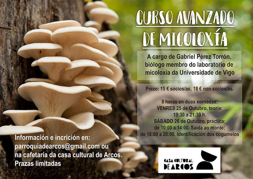 Feira de Outono de Arcos en Ponteareas