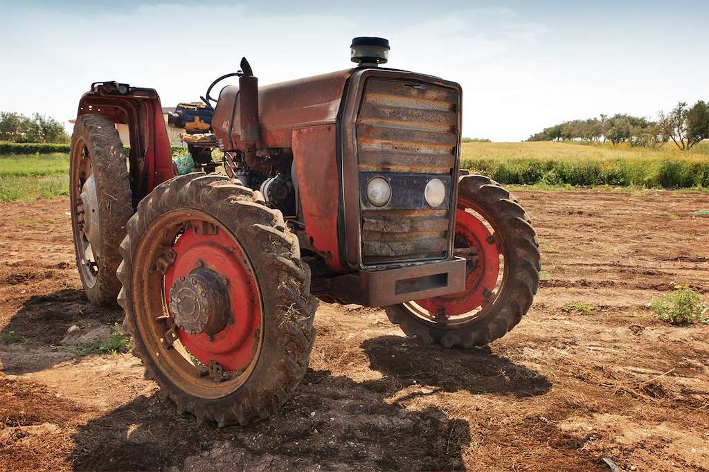 XXV Feira Degustación da Tenreira Galega (2025) en Láncara