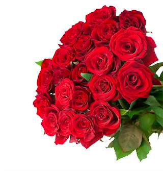 Festa da Rosa (2024) en Mos