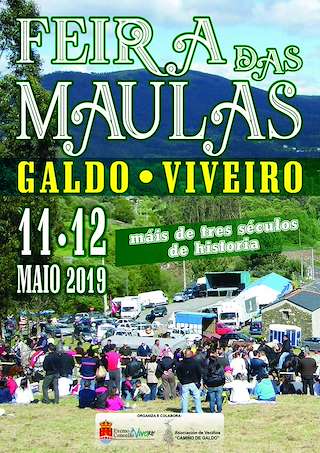 Festa das Maulas en Viveiro