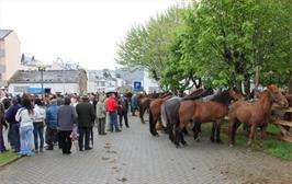 Festa das Maulas en Viveiro