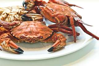 Festa Gastronómica dos Productos do Mar (2024) en Illa de Arousa