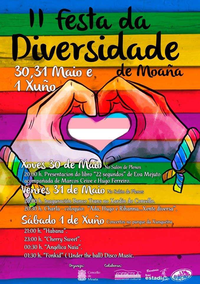 VII Festa da Diversidade en Moaña
