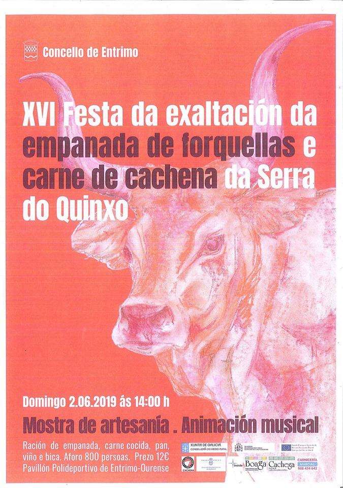 XIX Festa da Empanada de Forquellas e Carne de Cachena da Serra do Quinxo en Entrimo