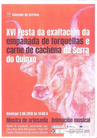 Fechas, información, programa, cartel, imágenes, mapa y ubicación de XIX Festa da Empanada de Forquellas e Carne de Cachena da Serra do Quinxo  en  Entrimo