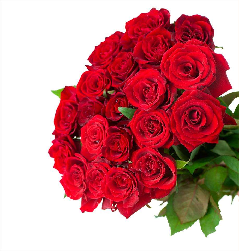 Festa da Rosa (2024) en Mos