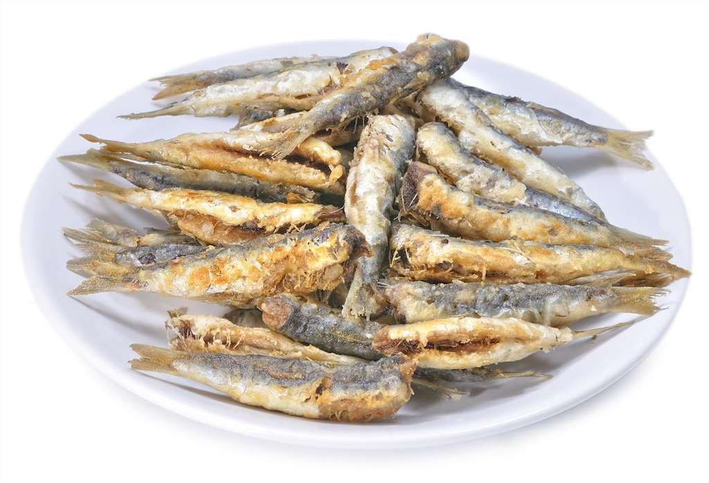 Festa da Xouba (2024) en Rianxo