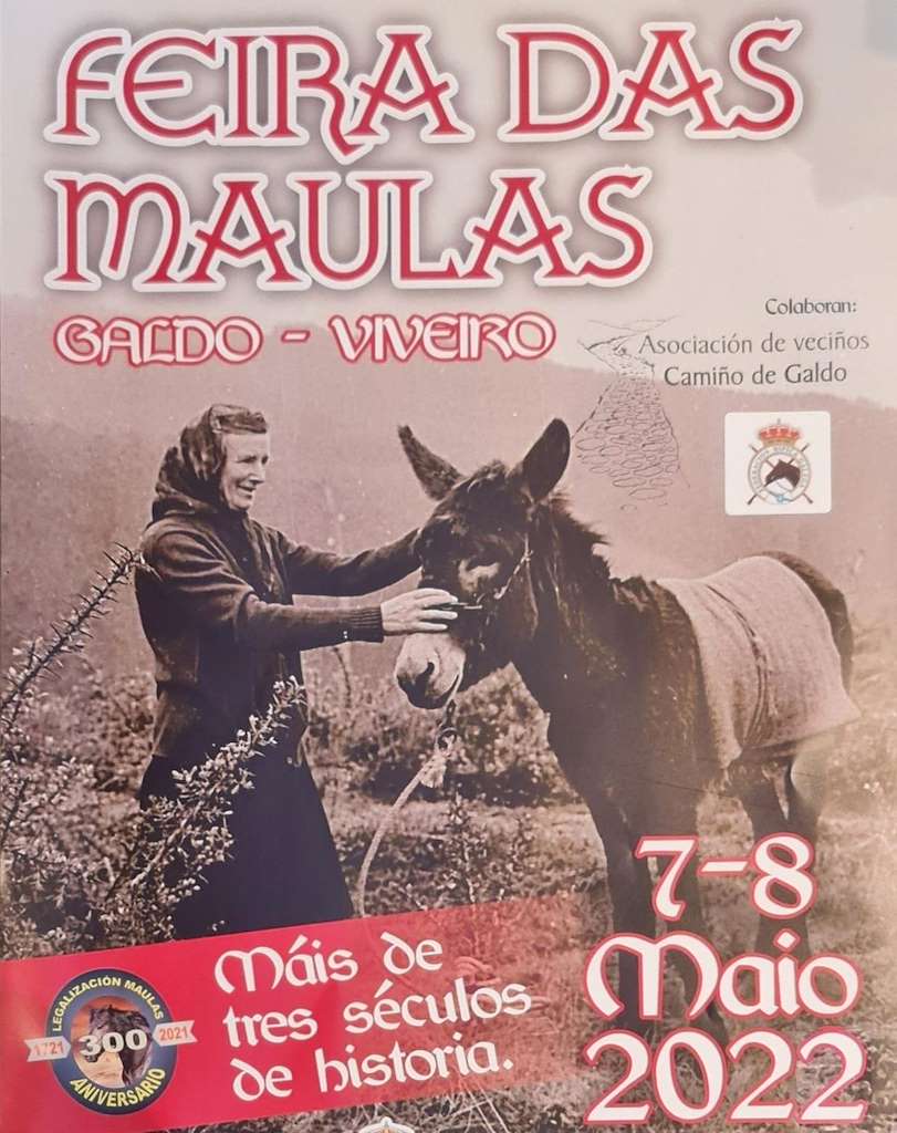 Festa das Maulas en Viveiro