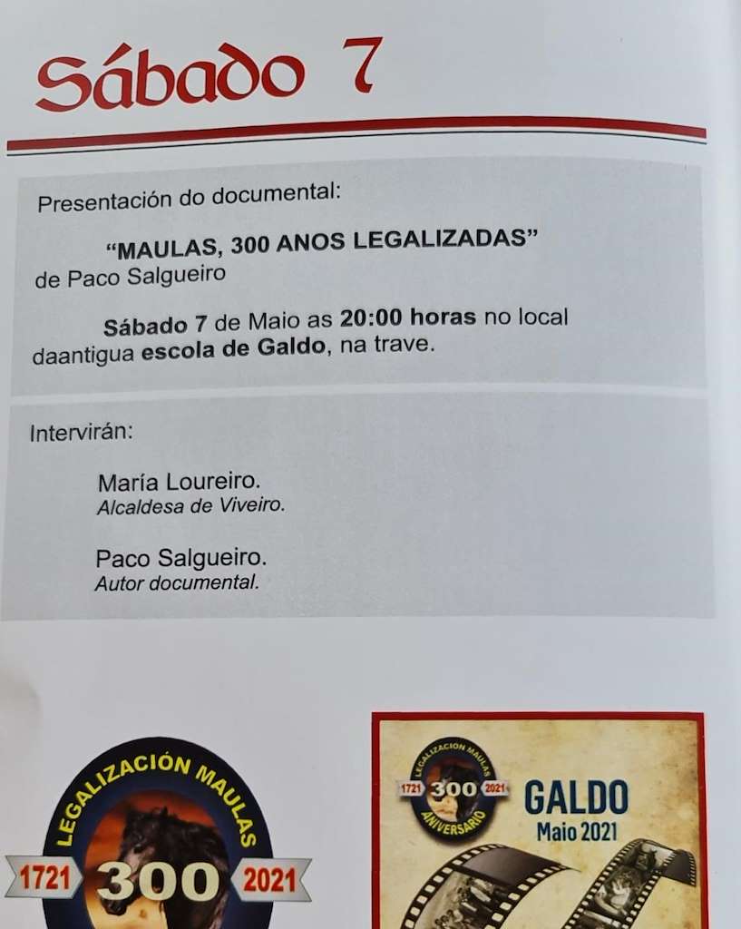 Festa das Maulas en Viveiro
