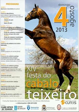Fechas, información, programa, cartel, imágenes, mapa y ubicación de XXIII Festa do Cabalo (2024)  en  Curtis