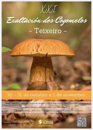 Fechas, información, programa, cartel, imágenes, mapa y ubicación de XXIII Festa do Cogomelo  en  Curtis