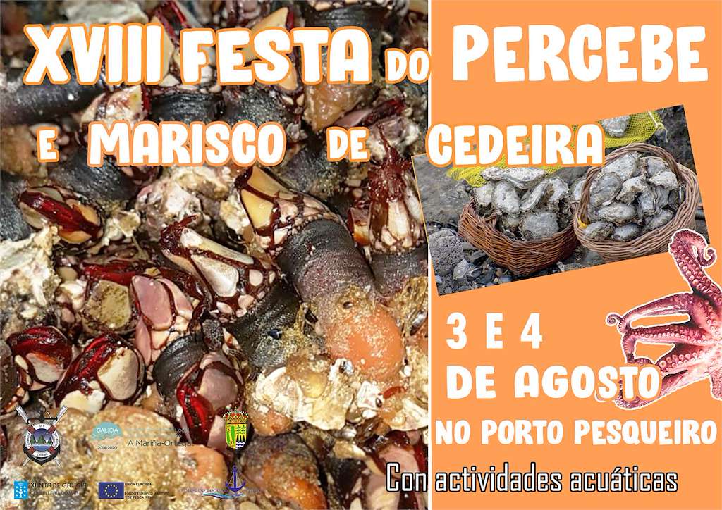 XXI Festa do Percebe (2024) en Cedeira