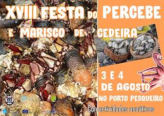 Fechas, información, programa, cartel, imágenes, mapa y ubicación de XXI Festa do Percebe (2024)  en  Cedeira