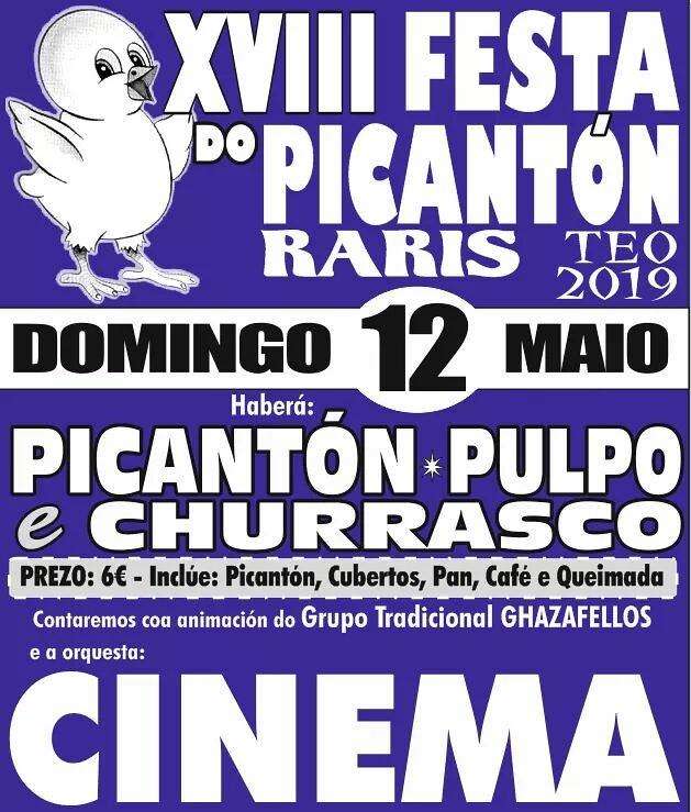 XX Festa do Picantón en Teo