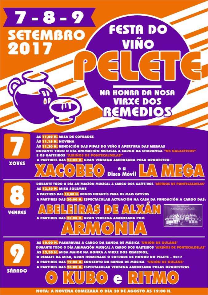 Festa do Viño do Pelete en A Lama